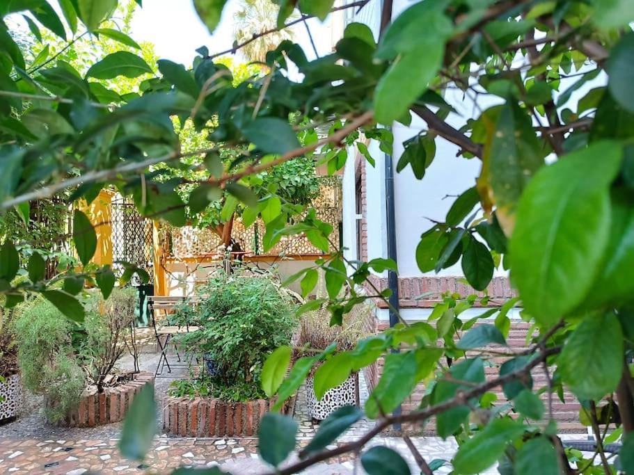 Вілла Casa Limonero Con Parking Gratis Junto A Centro Historico Гранада Екстер'єр фото