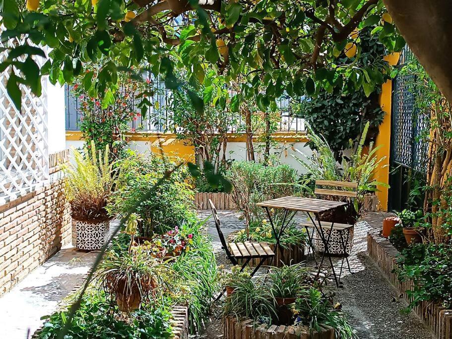 Вілла Casa Limonero Con Parking Gratis Junto A Centro Historico Гранада Екстер'єр фото